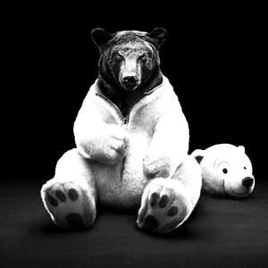 Meet your Posher, Tommy